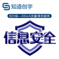 抗D保（DDoS流量清洗服务）KDB-D10