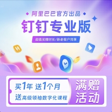 钉钉专业版