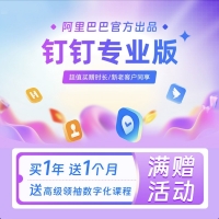 钉钉专业版
