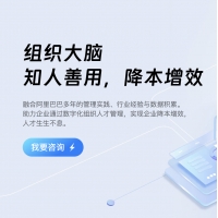 组织大脑