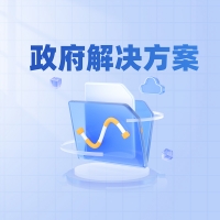 政府解决方案