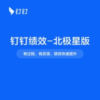 钉钉绩效-北极星版