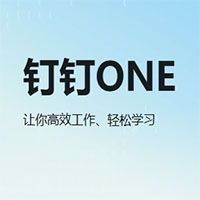 钉钉ONE